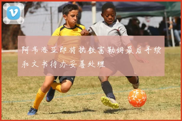 阿韦洛亚即将执教富勒姆最后手续和文书待办妥善处理